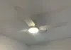 kumar-ceiling-fan-crop