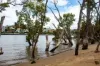 bulimba-river-point