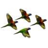 birds-bg