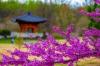 Botanical gardens