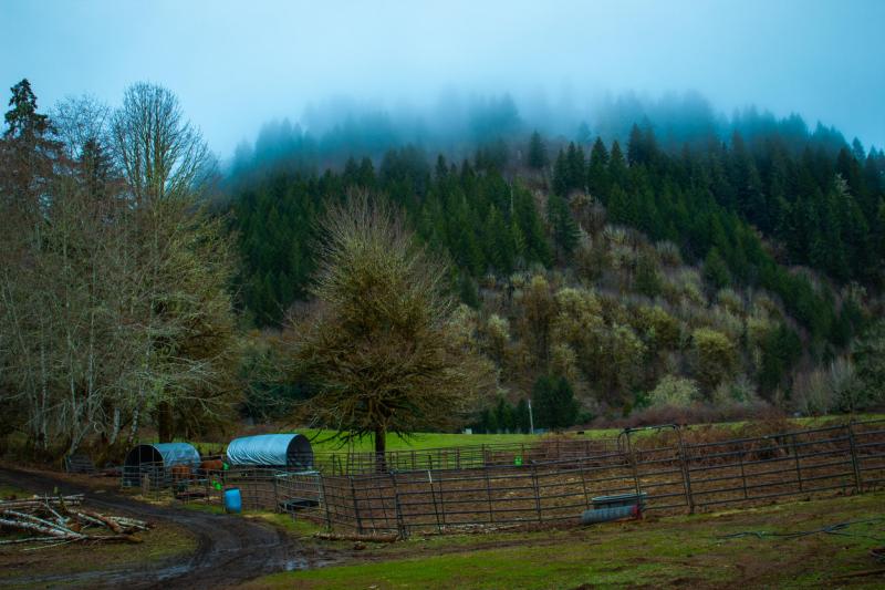 Oregon farm